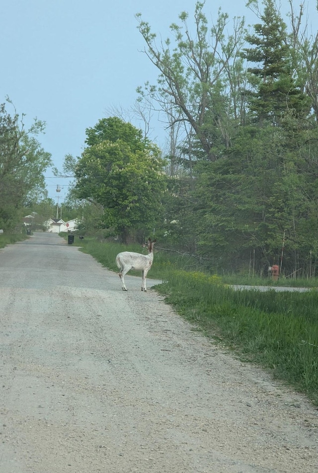 LOT8 N E St, Cheboygan, MI 49721