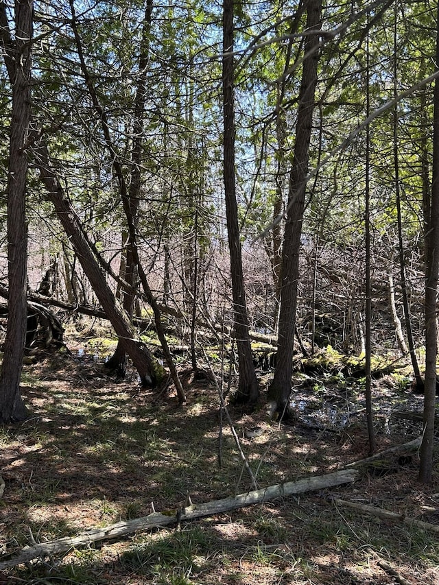 2133 M-134, Hessel, MI 49745