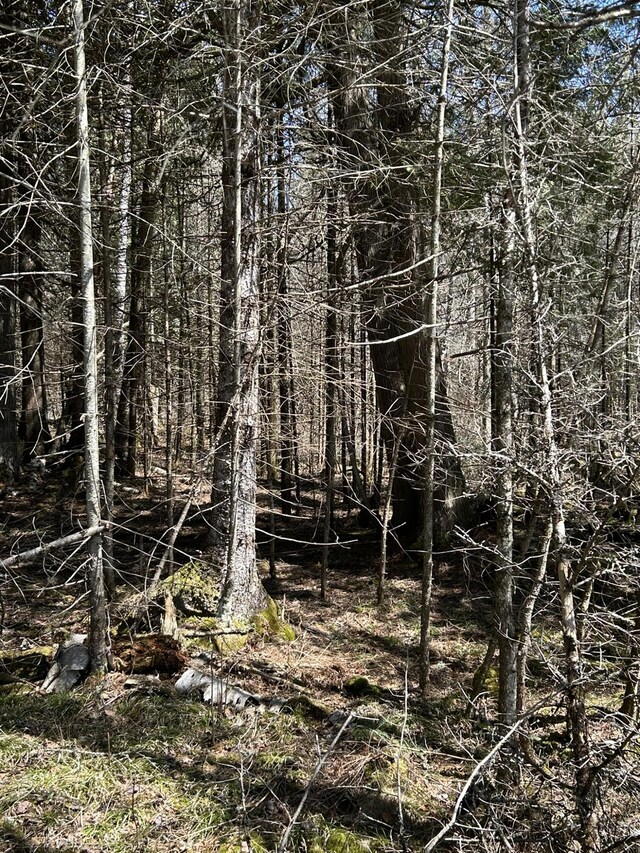 2133 M-134, Hessel, MI 49745