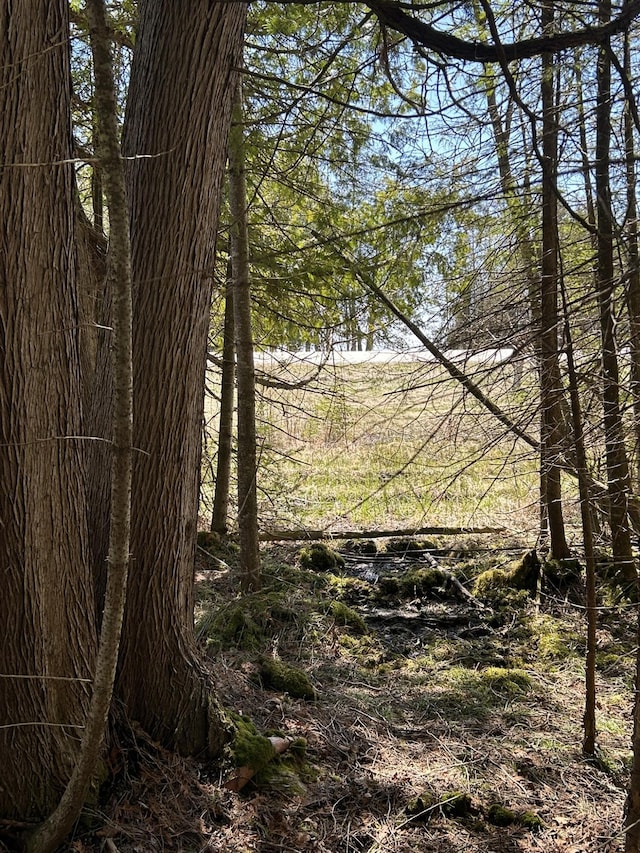 2133 M-134, Hessel, MI 49745