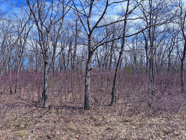 LOT5 Highland Pines Rd, Presque Isle, MI 49777
