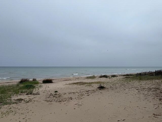 16098 Glen Eagle Ln, Ocqueoc, MI 49759 - water view featuring local beach