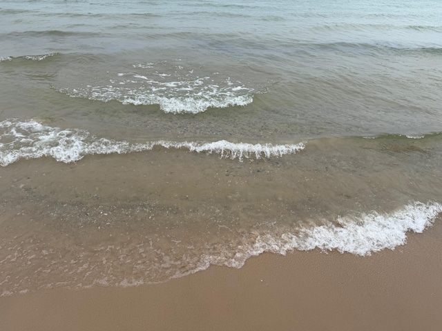 16098 Glen Eagle Ln, Ocqueoc, MI 49759 - water view
