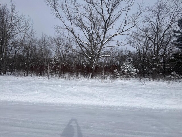 LOT60 Ponderosa Cir, Presque Isle, MI 49777 - photo 5