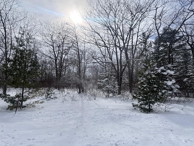 LOT60 Ponderosa Cir, Presque Isle, MI 49777 - photo 6