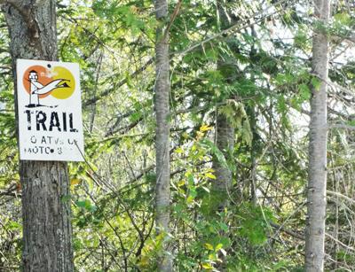 LOT60 Ponderosa Cir, Presque Isle, MI 49777 - photo 36