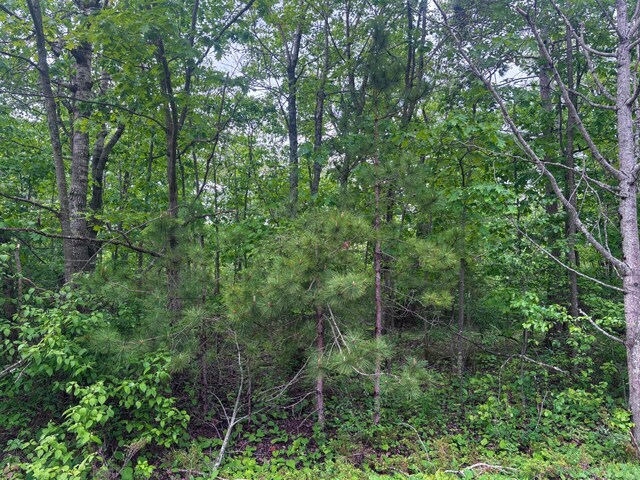 LOT60 Ponderosa Cir, Presque Isle, MI 49777 - photo 39