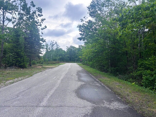 LOT60 Ponderosa Cir, Presque Isle, MI 49777 - photo 40