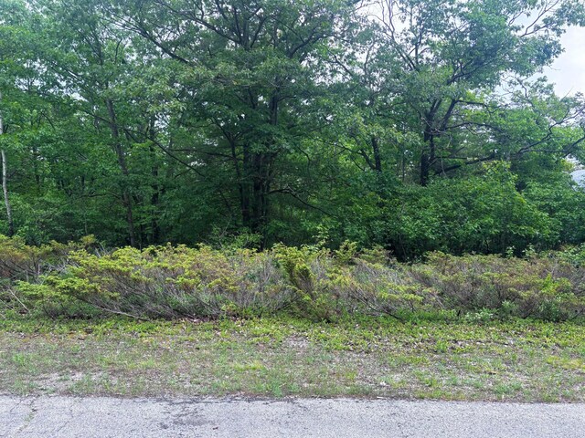 LOT60 Ponderosa Cir, Presque Isle, MI 49777 - photo 41