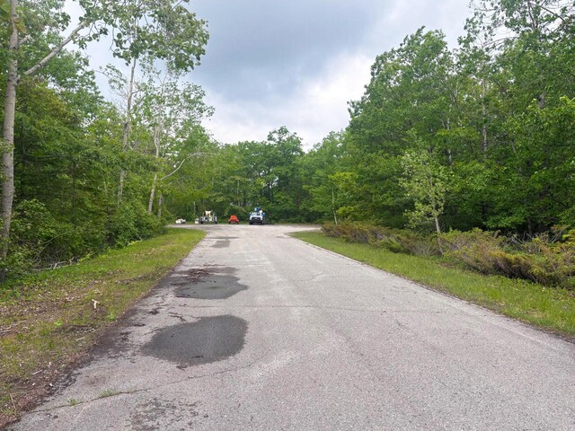 LOT60 Ponderosa Cir, Presque Isle, MI 49777 - photo 4
