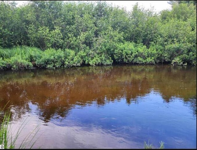 water view featuring a wooded view