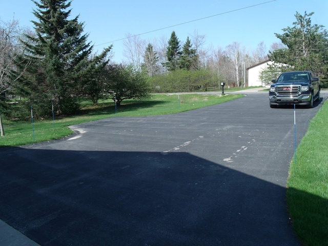 15117 Valley Dr, Wolverine, MI 49799 - view of street