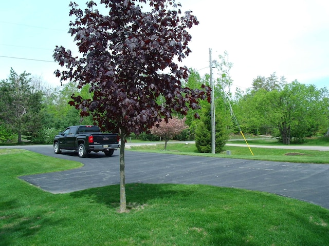 15117 Valley Dr, Wolverine, MI 49799 - view of street