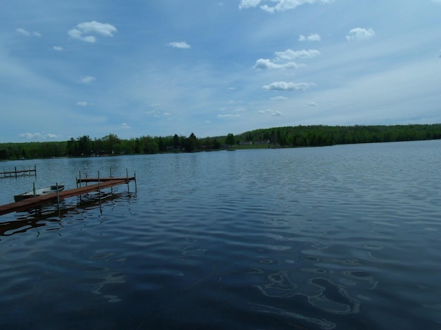 15117 Valley Dr, Wolverine, MI 49799 - dock area featuring a water view