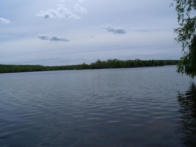 15117 Valley Dr, Wolverine, MI 49799 - water view