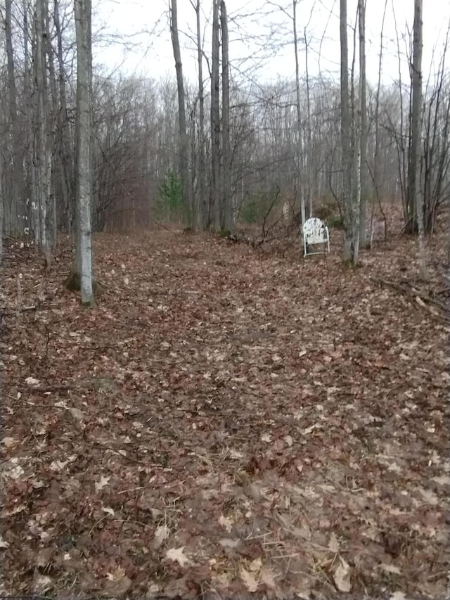 7664 Dickinson Rd, Frederic, MI 49733