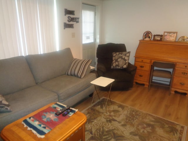 living area with wood finished floors