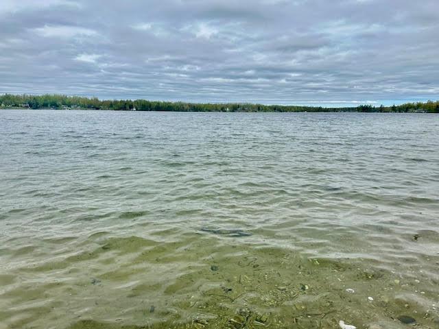 4942 Michakewa Trl, Cheboygan, MI 49721 - photo 8