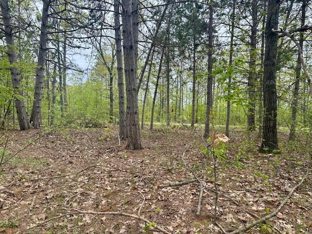 4942 Michakewa Trl, Cheboygan, MI 49721 - photo 19