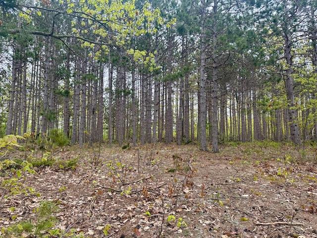 4942 Michakewa Trl, Cheboygan, MI 49721 - photo 20