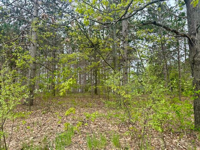 4942 Michakewa Trl, Cheboygan, MI 49721 - photo 7