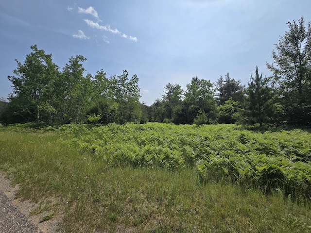 LOT82 Northridge Dr, Mancelona, MI 49659 - photo 1