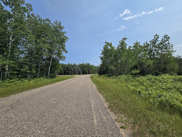 LOT82 Northridge Dr, Mancelona, MI 49659 - photo 2