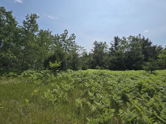 LOT82 Northridge Dr, Mancelona, MI 49659 - photo 3