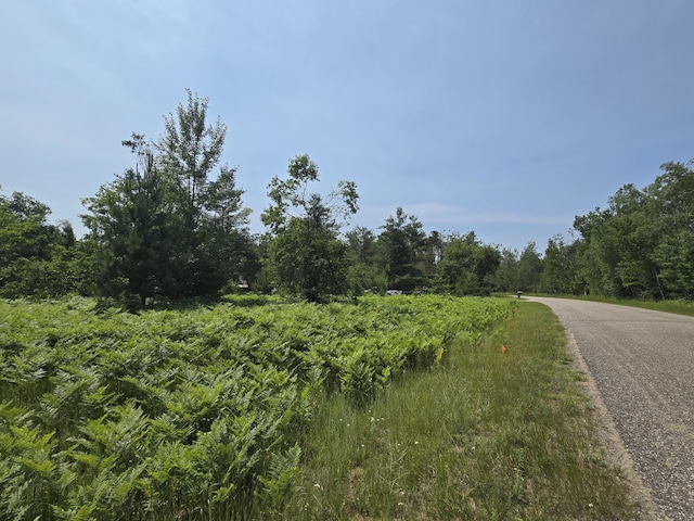 LOT82 Northridge Dr, Mancelona, MI 49659 - photo 4