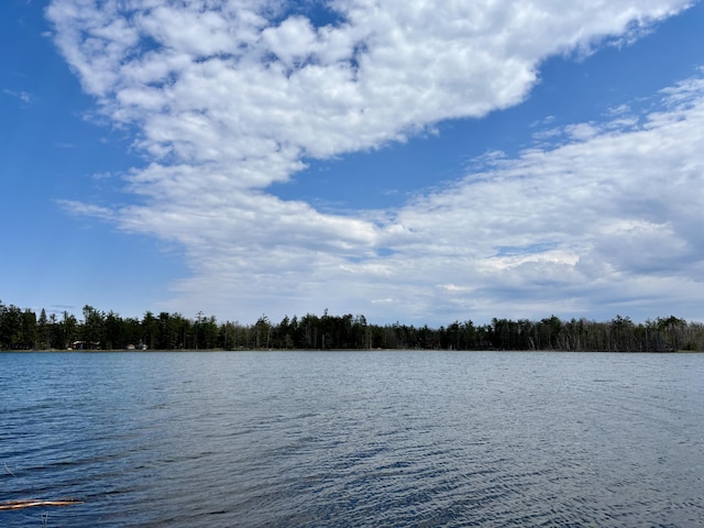 PARCEL3 Heimler Rd, Lewiston, MI 49756