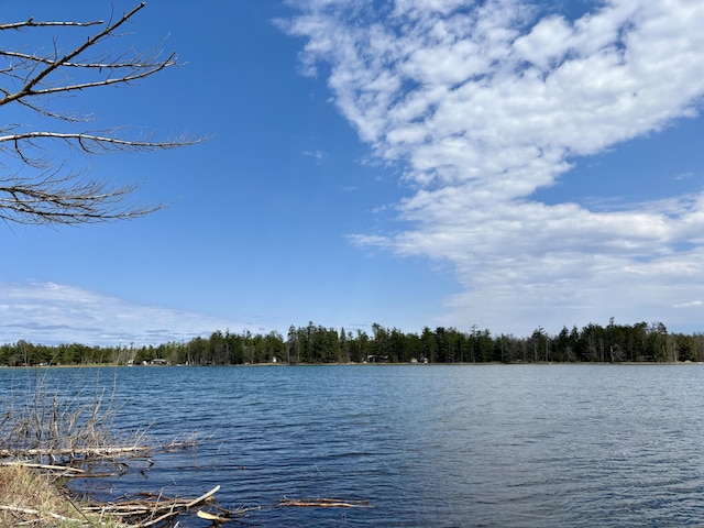 PARCEL3 Heimler Rd, Lewiston, MI 49756
