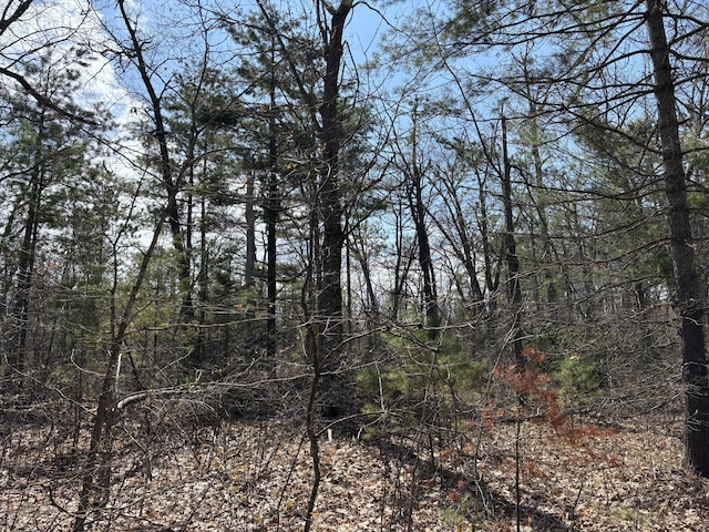 PARCEL3 Heimler Rd, Lewiston, MI 49756
