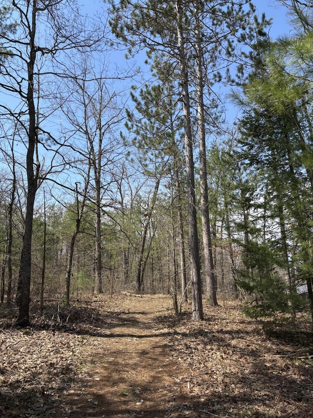 PARCEL3 Heimler Rd, Lewiston, MI 49756