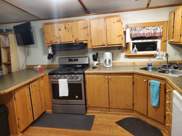 kitchen with stainless steel gas stove, under cabinet range hood, a sink, light wood-style floors, and dishwasher