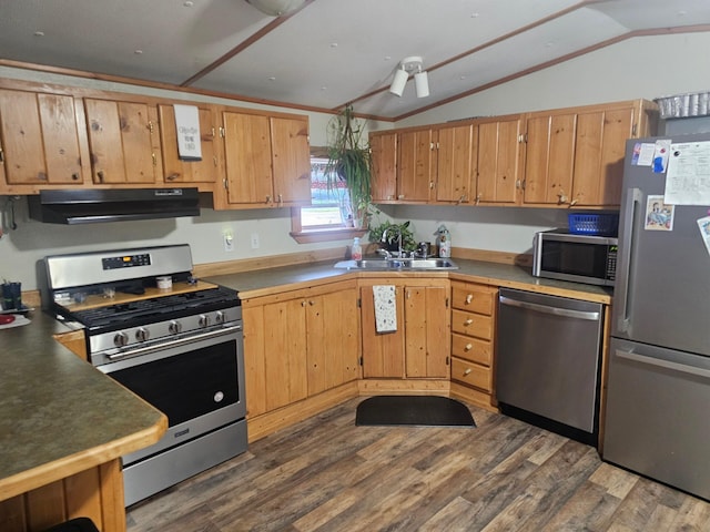 kitchen featuring dark wood-type flooring, under cabinet range hood, a sink, stainless steel appliances, and lofted ceiling