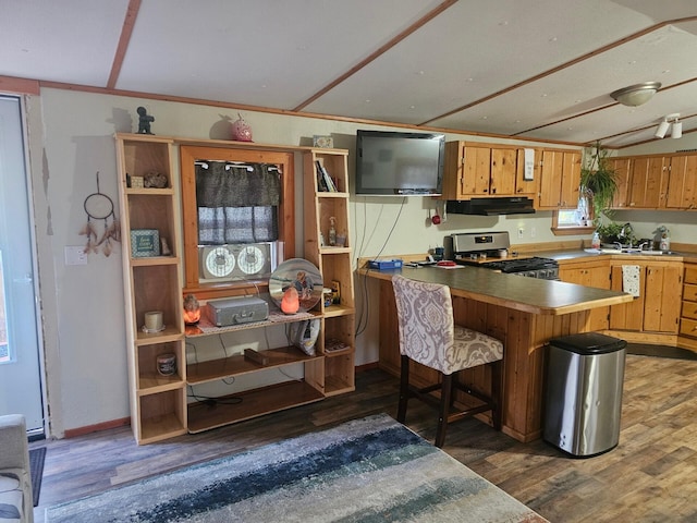 kitchen with wood finished floors, stainless steel range with gas cooktop, a peninsula, a sink, and under cabinet range hood