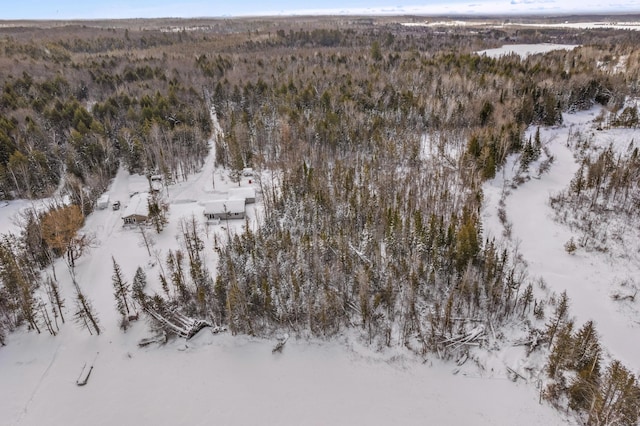 snowy aerial view featuring a view of trees