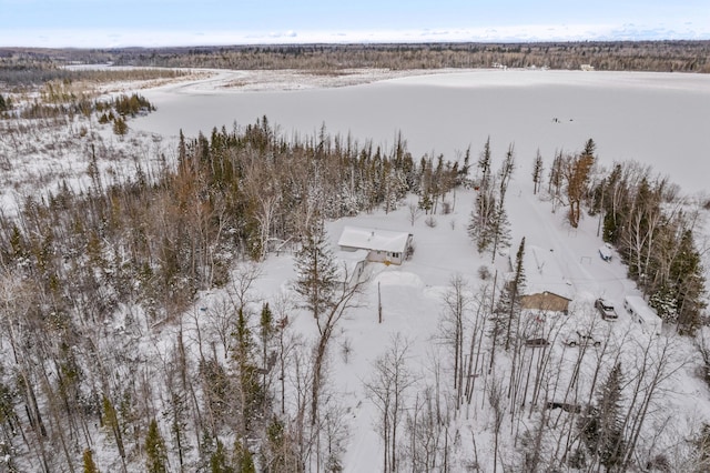 snowy aerial view featuring a view of trees