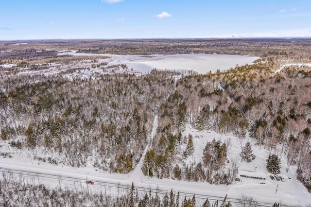 snowy aerial view with a view of trees