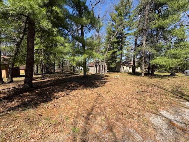 407 Pine Ln, Mio, MI 48647 - view of yard