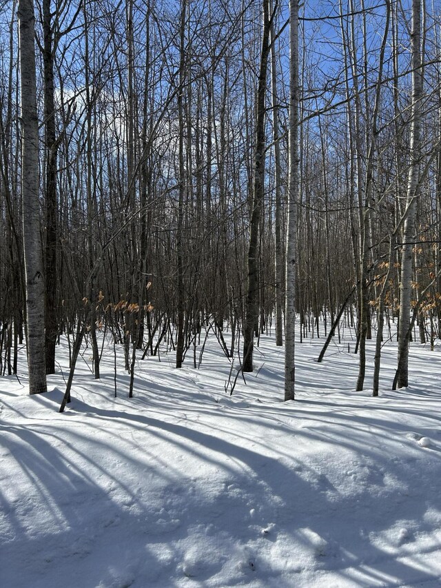 Parcel''E Woodmansee Road, Cheboygan, MI 49721 - photo 3