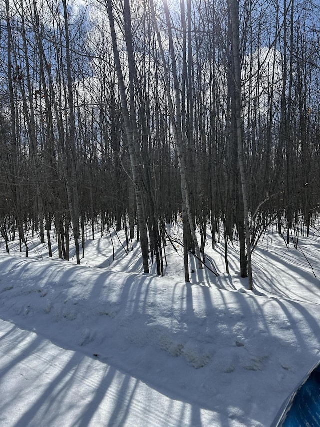 Parcel''E Woodmansee Road, Cheboygan, MI 49721 - photo 6