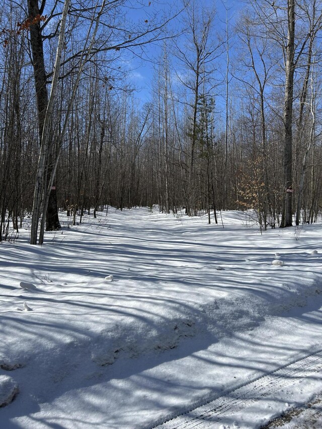 Parcel''E Woodmansee Road, Cheboygan, MI 49721 - photo 7