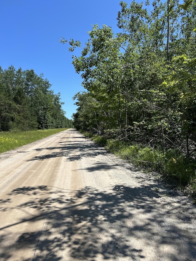 Parcel''E Woodmansee Road, Cheboygan, MI 49721 - photo 1