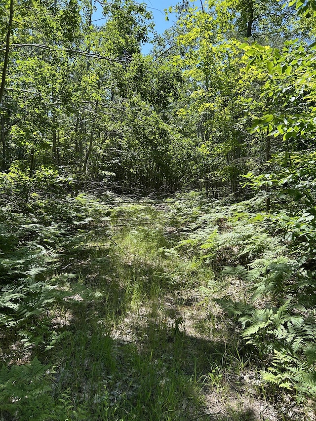 Parcel''E Woodmansee Road, Cheboygan, MI 49721 - photo 2