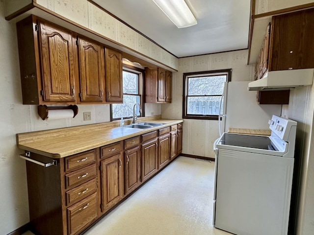916 W First St, Cheboygan, MI 49721 - kitchen with electric stove, a sink, under cabinet range hood, a wealth of natural light, and light countertops
