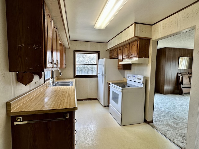 916 W First St, Cheboygan, MI 49721 - kitchen with a sink, light countertops, baseboards, under cabinet range hood, and electric range