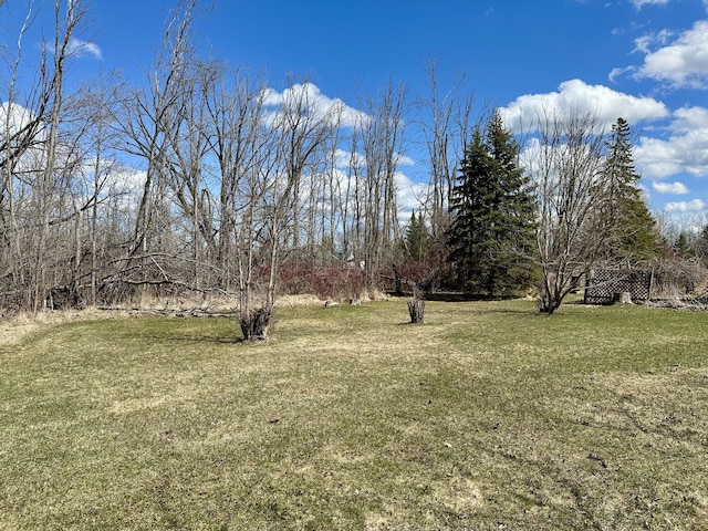 916 W First St, Cheboygan, MI 49721 - view of yard