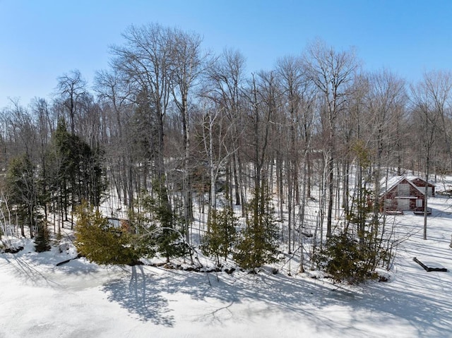 10448 W Munro Lake Dr, Levering MI, 49755 land for sale