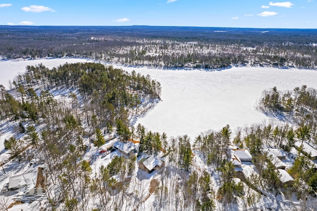 snowy aerial view with a forest view